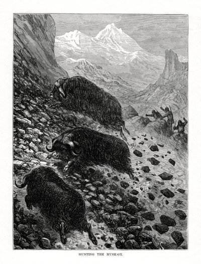 صيد المسك 1877 بواسطة غير معروف