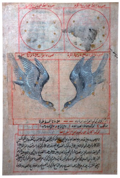 رسم توضيحي لأبراج نصف الكرة الجنوبي ، القرن السادس عشر بواسطة غير معروف