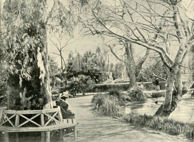 في الحدائق النباتية ، أديليد ، 1901. بواسطة غير معروف