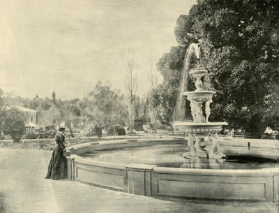 في الحدائق النباتية ، أديليد ، 1901. بواسطة غير معروف