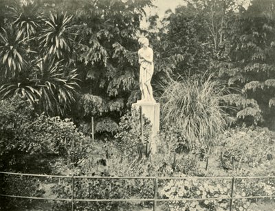 في حدائق فيتزروي ، ملبورن ، 1901. بواسطة غير معروف