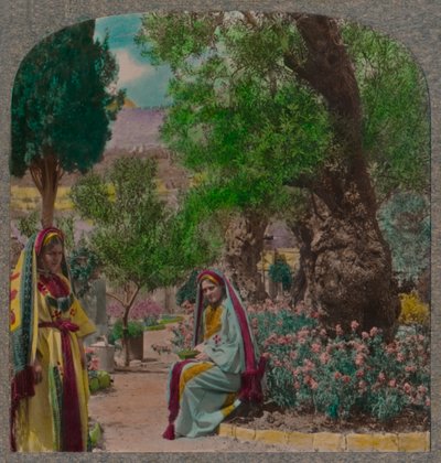 في حديقة الجثمانية ، c1900 بواسطة غير معروف
