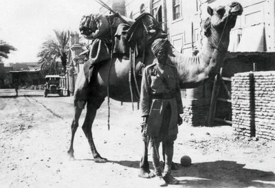 جندي إبل هندي ، بغداد ، 1918 بواسطة غير معروف