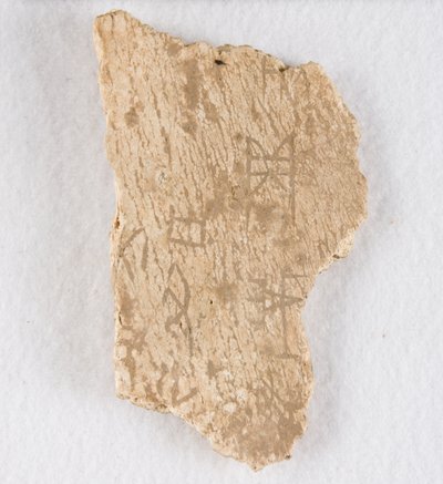 جزء عظمي منقوش أوراكل عظم ، أواخر عهد أسرة شانغ ، كاليفورنيا. 1300-1050 قبل الميلاد. بواسطة غير معروف