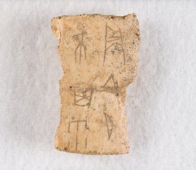 جزء عظمي منقوش أوراكل عظم ، أواخر عهد أسرة شانغ ، كاليفورنيا. 1300-1050 قبل الميلاد. بواسطة غير معروف