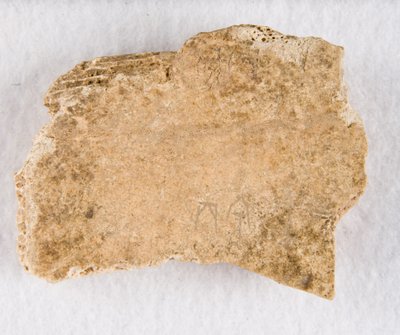 جزء عظمي منقوش أوراكل عظم ، أواخر عهد أسرة شانغ ، كاليفورنيا. 1300-1050 قبل الميلاد. بواسطة غير معروف