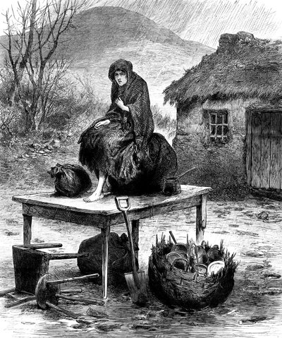 فتاة فلاحين أيرلندية تحرس العائلة ممتلكاتها القليلة ، 1886 بواسطة غير معروف