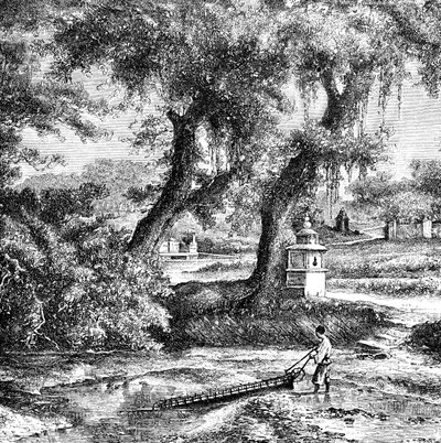 مضخة الري ، جنوب الصين ، c1890 بواسطة غير معروف