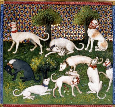 Jagdhunde (Alan) - كتاب الصيد بواسطة غير معروف