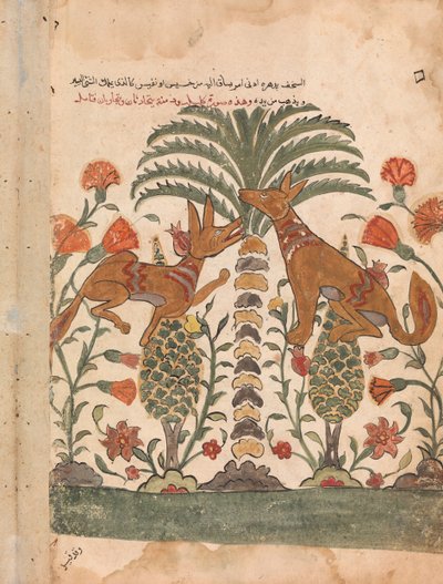 كليلة تجعيد دمنة ، فوليو من كليلة ودمنة ، القرن الثامن عشر. بواسطة غير معروف