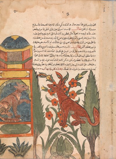 كليلة تزور دمنة المسجون ، فوليو من كليلة ودمنة ، القرن الثامن عشر. بواسطة غير معروف
