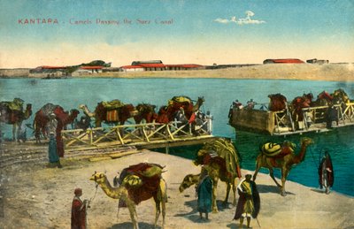 القنطرة - الإبل المارة لقناة السويس c1918-c1939. بواسطة غير معروف