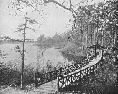 Kissing Bridge، Lakewood، New Jersey، USA، c1900. بواسطة غير معروف