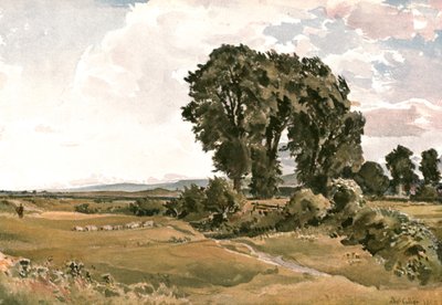منظر طبيعي ، بالقرب من ويرهام ، دورست - رسم خارجي ، c1900. بواسطة غير معروف