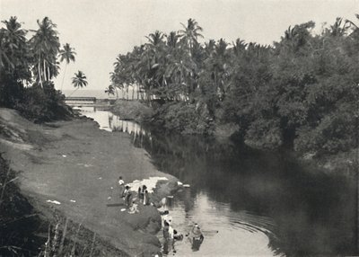 منظر طبيعي على نهر ديهيوالا ، بين كولومبو وجبل لافينيا ، 1926 بواسطة غير معروف