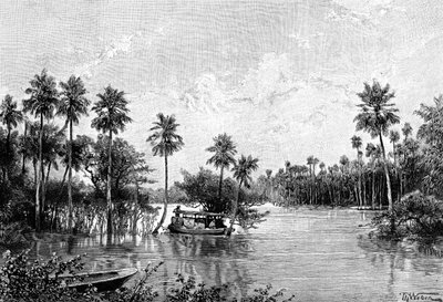 Las Palmes Lagunas ، بالقرب من مصب بيلكومايو ، 1895 بواسطة غير معروف