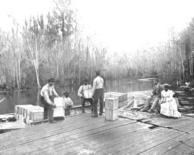تحميل البرتقال على نهر Ocklawaha River ، فلوريدا ، الولايات المتحدة الأمريكية ، c1900. بواسطة غير معروف