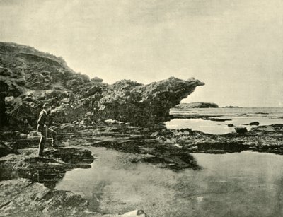 لو تايد ، شاطئ شيلي ، وارنامبول ، 1901. بواسطة غير معروف