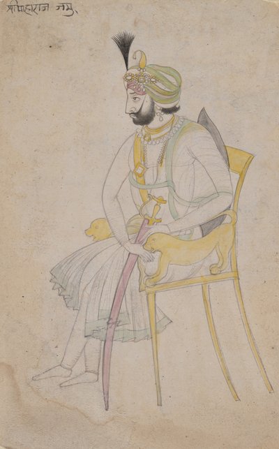 مهراجا رانبير سينغ ، كاليفورنيا. 1860-80. بواسطة غير معروف