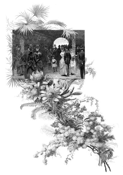 عرض الزهور البرية الرجولي ، سيدني ، نيو ساوث ويلز ، أستراليا ، 1886 بواسطة غير معروف