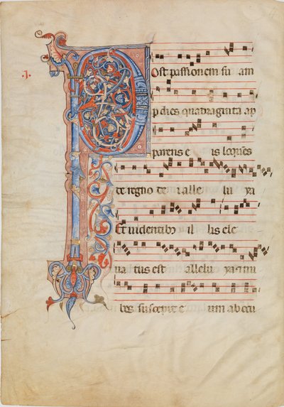 ورقة مخطوطة عليها الحرف الأول المرقق P ، من Antiphonary ، كاليفورنيا. 1250-60. بواسطة غير معروف