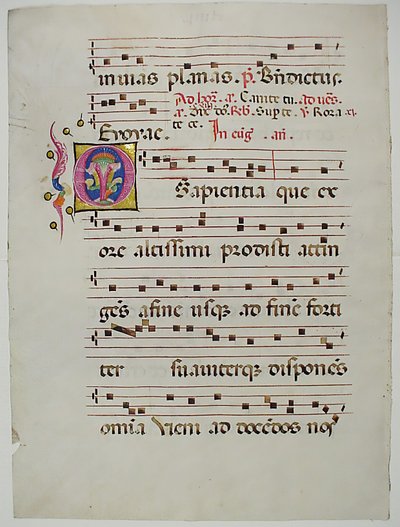 ورقة مخطوطة عليها الحرف الأول O ، من Antiphonary ، الإيطالي ، القرن الخامس عشر. بواسطة غير معروف