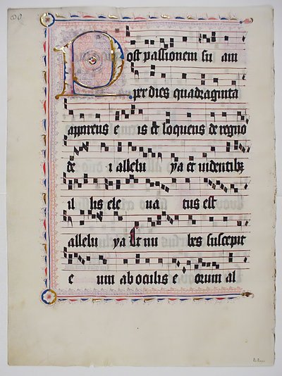 ورقة مخطوطة عليها الحرف الأول P ، من Antiphonary ، ألماني ، الربع الثاني من القرن الخامس عشر. بواسطة غير معروف