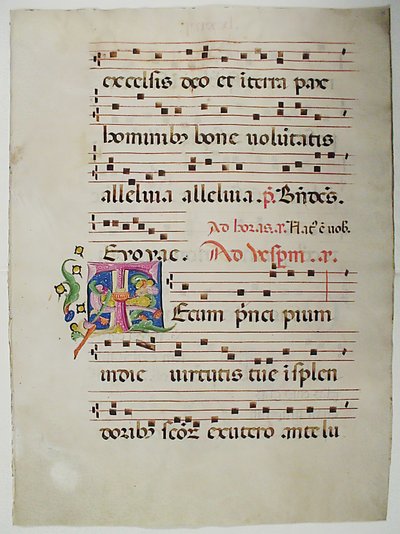 ورقة مخطوطة تحمل الحرف الأول من الحرف T ، من Antiphonary ، الإيطالي ، القرن الخامس عشر. بواسطة غير معروف