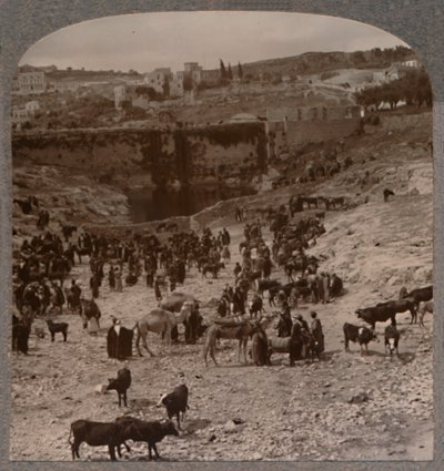 يوم السوق في بركة Gihon ، c1900 بواسطة غير معروف