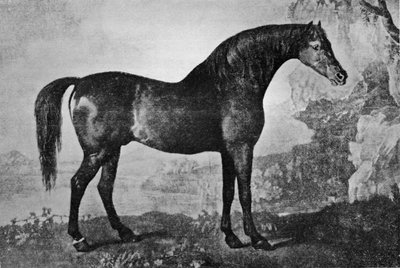 Marske ، 1750-1779 ، 1911 بواسطة غير معروف