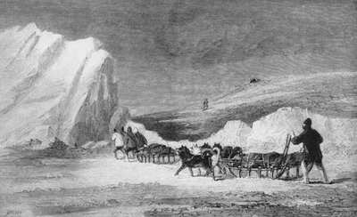 العثور على واحد من فرانلينز كيرنز في كيب هيرشل ، c1859 ، 1928 بواسطة غير معروف