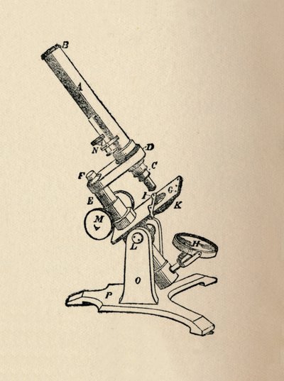 مجهر 1912 بواسطة غير معروف