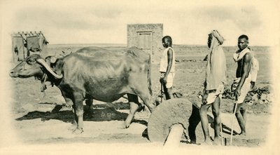 خلط ملاط. بواسطة غير معروف
