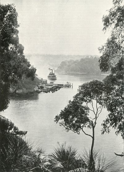 خليج Mosmans ، من Cremorne Jetty ، c1900. بواسطة غير معروف