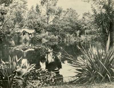 حدائق ريان ، جبل مقدونيا ، فيكتوريا ، 1901. بواسطة غير معروف