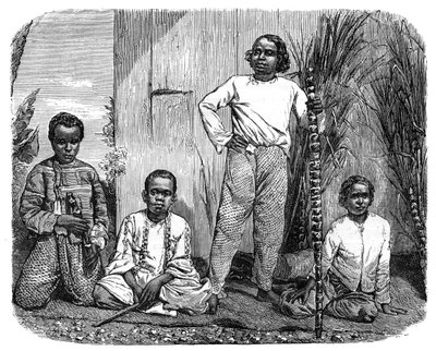 سكان جزيرة ريونيون ، c1890 بواسطة غير معروف
