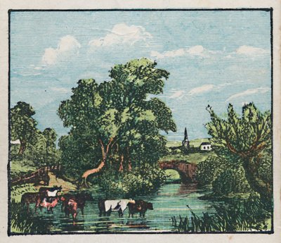 أوكهام ، c1910. بواسطة غير معروف