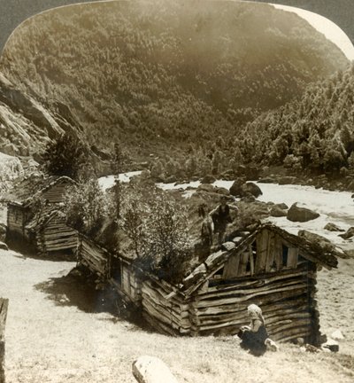منازل خشبية قديمة في Bratslandsdal ، مع نمو الأشجار على أسطح مغطاة بالحلويات ، النرويج ، c1905. بواسطة غير معروف