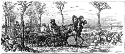 على طريق بالقرب من سان بطرسبرج ، روسيا ، 1882 بواسطة غير معروف