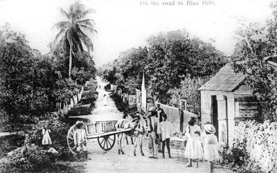 على الطريق إلى بلو هيلز ، جزر البهاما ، ج 1900 بواسطة غير معروف