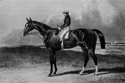 أورلاندو ، c1841-1860 ، 1911 بواسطة غير معروف