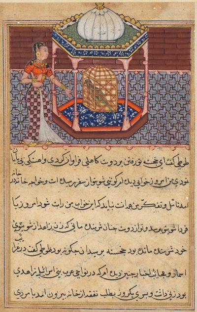 صفحة من حكايات الببغاء توتي ناما: الليلة الثانية والخمسون: الببغاء يخاطب خوجاستا ... ، c1560 بواسطة غير معروف