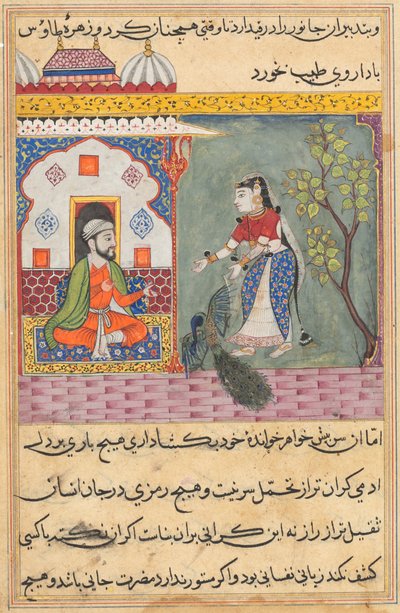 صفحة من حكايات الببغاء توتي ناما: الليلة التاسعة عشرة: زوجة البراهمان ... ، ج. 1560. بواسطة غير معروف