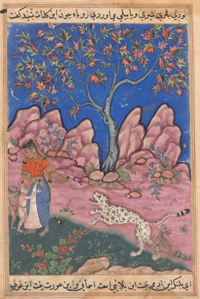 صفحة من حكايات ببغاء توتي ناما: الليلة الثلاثون: المرأة تتحدث ... ، ج. 1560. بواسطة غير معروف