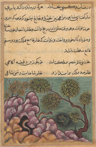 صفحة من حكايات ببغاء توتي ناما: الليلة السادسة والعشرون: الضفدع المخلوع ... ، ج. 1560. بواسطة غير معروف