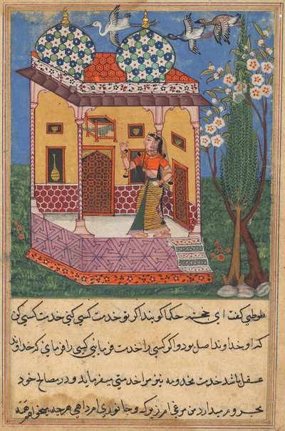 صفحة من حكايات الببغاء توتي ناما: الليلة السادسة والعشرون: الببغاء يخاطب خوجاستا ... ، c1560 بواسطة غير معروف