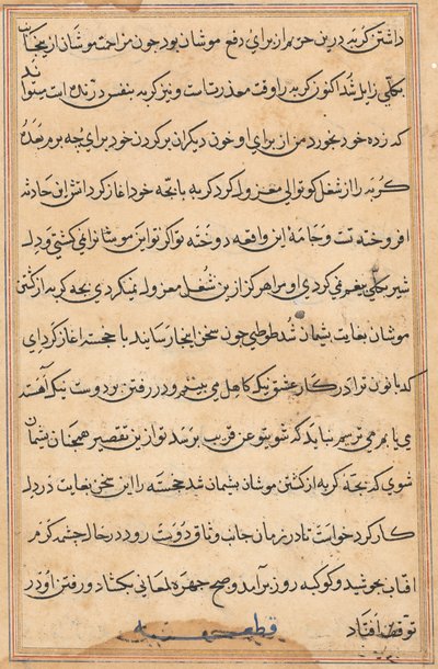 صفحة من حكايات ببغاء توتي ناما: صفحة نصية ، ج. 1560. بواسطة غير معروف