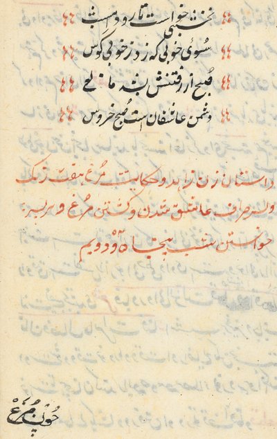 صفحة من حكايات ببغاء توتي ناما: صفحة نصية ، ج. 1560. بواسطة غير معروف