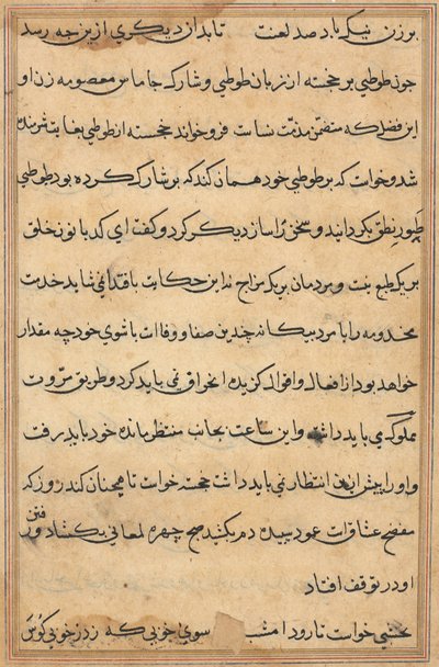 صفحة من حكايات ببغاء توتي ناما: صفحة نصية ، ج. 1560. بواسطة غير معروف