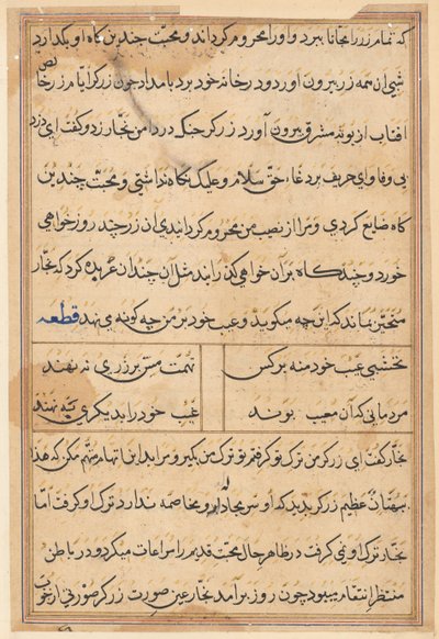 صفحة من حكايات ببغاء توتي ناما: صفحة نصية ، ج. 1560. بواسطة غير معروف